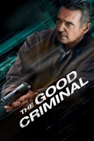 The Good Criminal