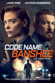 Code Name Banshee