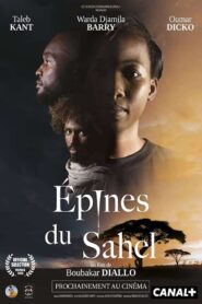 Épines du Sahel