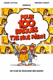 Pour 100 briques t’as plus rien !